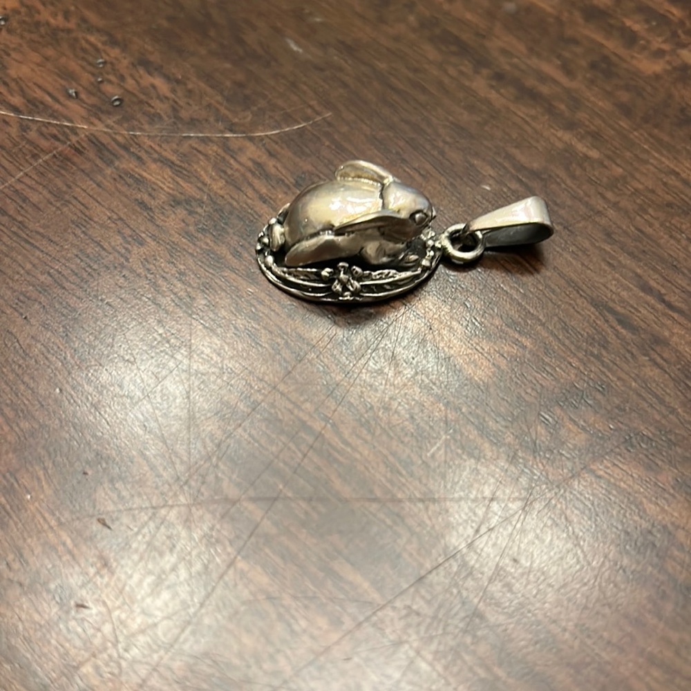Bunny charm